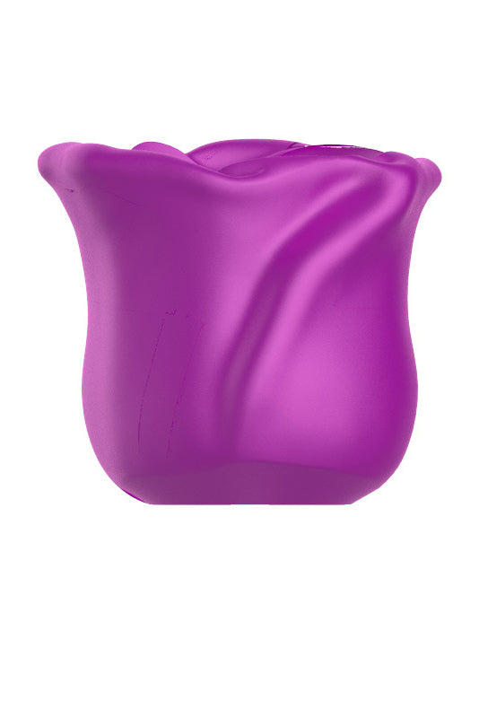 Accesoriu model trandafir pentru vibrator tip OU, stimulare clitoridiana, Mov TOY346A-11