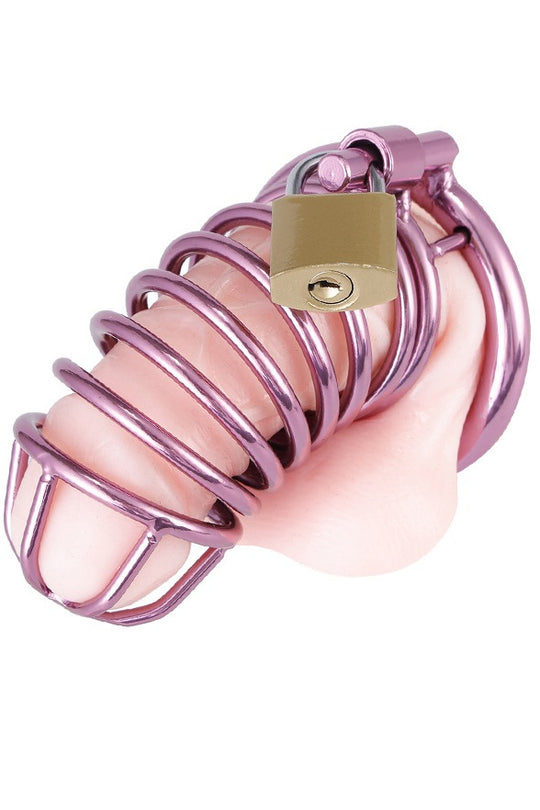 Cusca de castitate pentru barbati din metal inoxidabil cu lacat inclus, Rose, TOY517-20