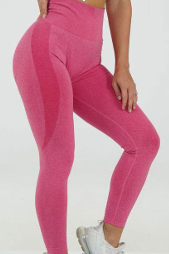 Colanti fitness cu talie inalta si model inserat J719-58